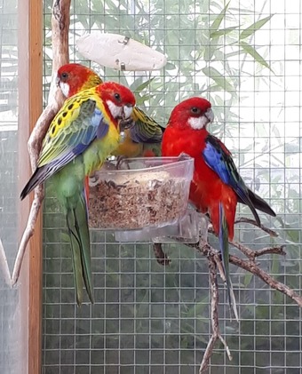 Hotel Beaulieu La Source