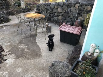 Hostal Jaun Guesthouse - Hostel