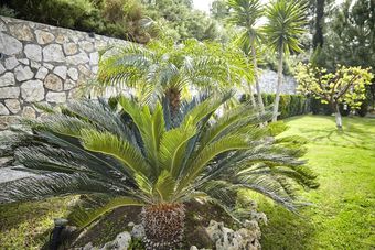 Unique Villa La Vie Est Belle