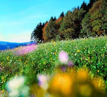 Hotel Landhaus Lenneper-f�hrt