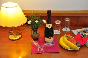 Brocki's Hotel Stadt Hamburg