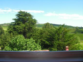 Hotel Posada Las Quintas