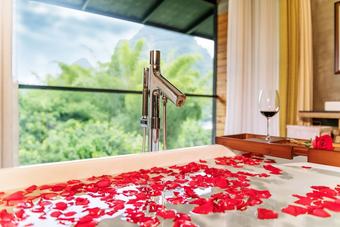 Heart Dweller Hotel