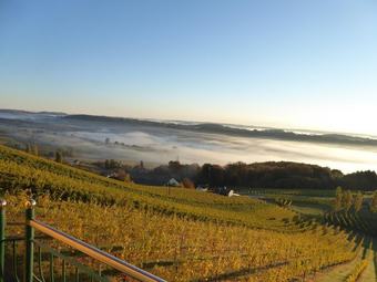 Posada Weinberg Lodge - Kellerst�ckl