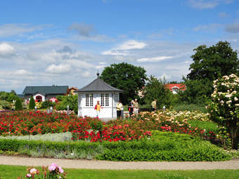 Alpha Hotel Hermann Von Salza