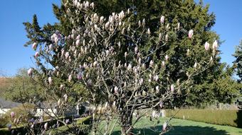 Bed & Breakfast La Haute Traversiere