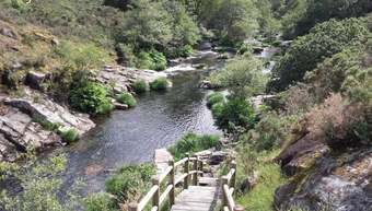 Pensi�n Atl�ntico