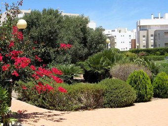 106452 - Apartment In Vera