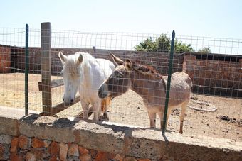 Agroturismo Agriturismo Santa Croce
