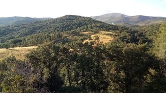 Apartamentos Condado De Miranda