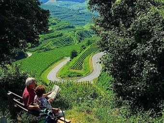 Cozy Apartment In Bischoffingen With Garden