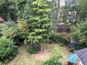 Studio Apartment In Putney