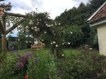 Mulleys Cottage Bed And Breakfast