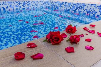 Villa Poly Jinli Holiday Apartment