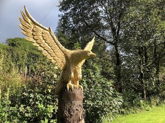 Posada Rashfield Sheilings