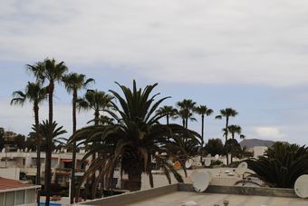 Apartamentos El Chaparal