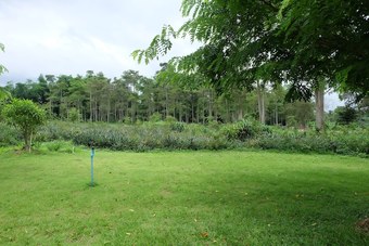 Hotel Napadol Resort