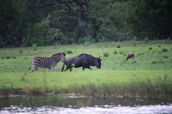 Hotel Twin Thorns Guesthouse
