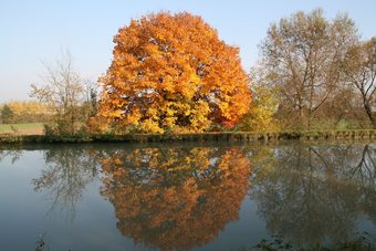 Bed & Breakfast Chambre D'h�tes Peniche Ophrys