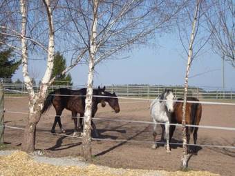 Hostal Mettenberger Hof