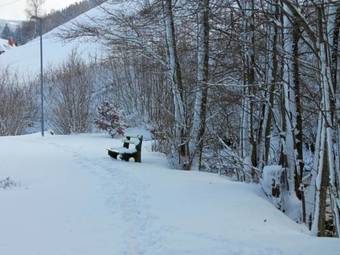 Hostal Haus Traudel Matt