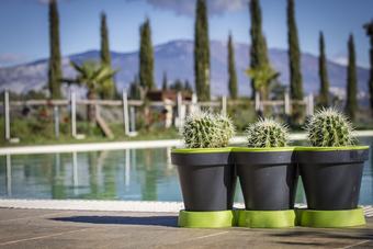 Agroturismo Agriturismo Bio Relais Terra Del Vento