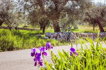 B&B Trullo Casa Rosa