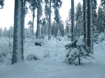 Hostal G�stehaus Hundelbach