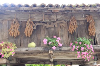 Agroturismo El Colladin