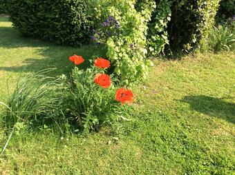 House With 2 Bedrooms In Mailly-maillet, With Enclosed Garden And Wifi