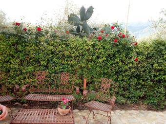Hotel Villarose