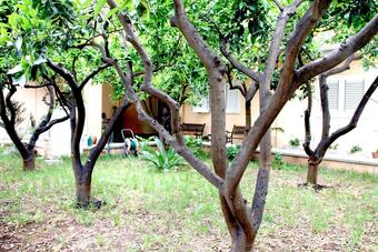 Bed And Breakfast L'aranceto