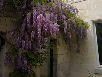 Bed & Breakfast La Vie Voyage