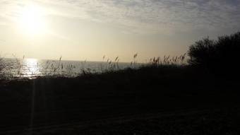 Ferienhaus Heimathafen