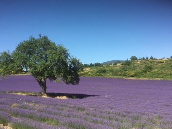 Bed & Breakfast Le Jardin De Lau