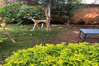 Hotel Residence Yipene