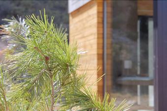 Hotel Balneario De Ari�o