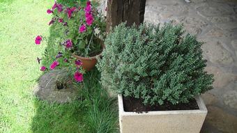 Agroturismo La Cuadra De La Tila