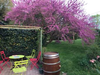 Hotel La Ferme Du Grand Launay