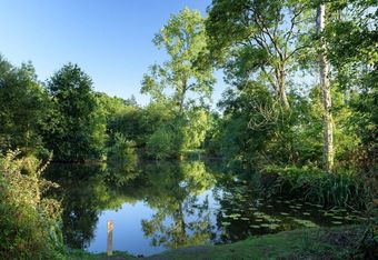 Rives Nature Campsite