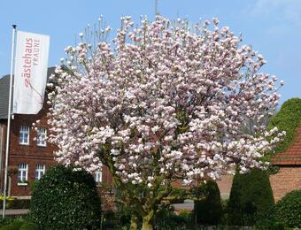 Hotel G�stehaus Fraune