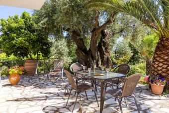 Ipsos Panoramic Views By Konnect