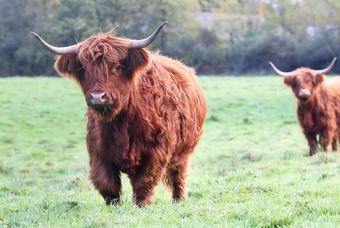 Hotel La Ferme Intention