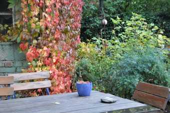 Nassauer Hof Hotel & Weinwirtschaft