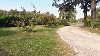 B&B Il Cardellino