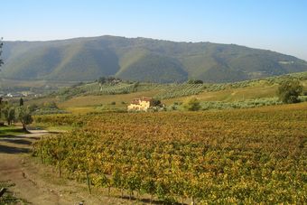 Agroturismo Agriturismo I Veroni