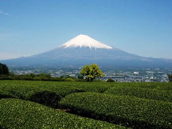 Hotel Tomioka-ya