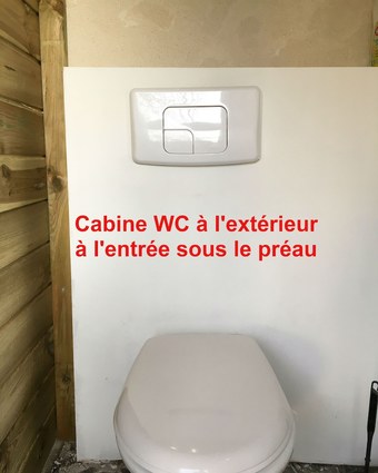 Les Libellules