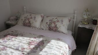 Bed & Breakfast Tophouse Historic Inn