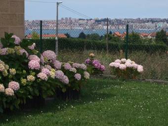 Aparthotel Hotel Y Apartamentos Sur De La Bah�a